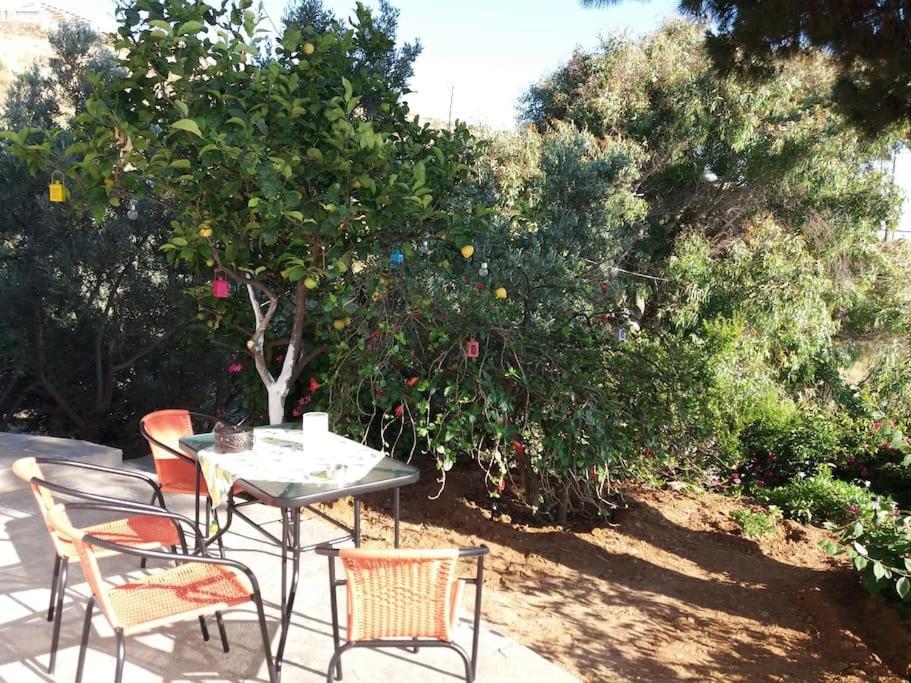 Grandpa Simos' Traditional Guest House Agios Romanos المظهر الخارجي الصورة