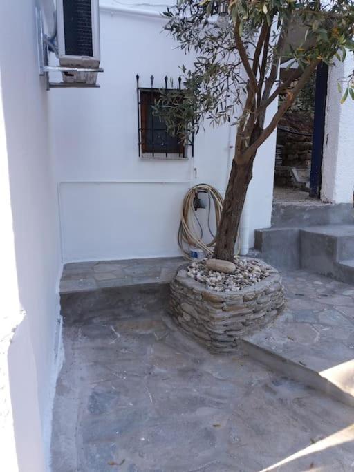 Grandpa Simos' Traditional Guest House Agios Romanos المظهر الخارجي الصورة