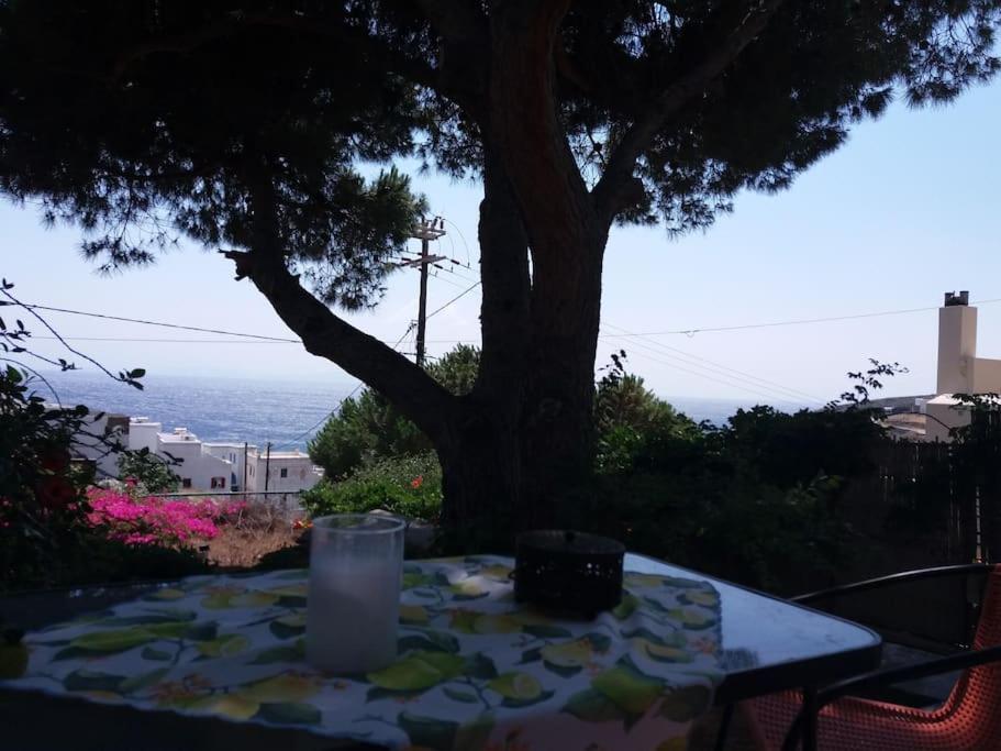 Grandpa Simos' Traditional Guest House Agios Romanos المظهر الخارجي الصورة