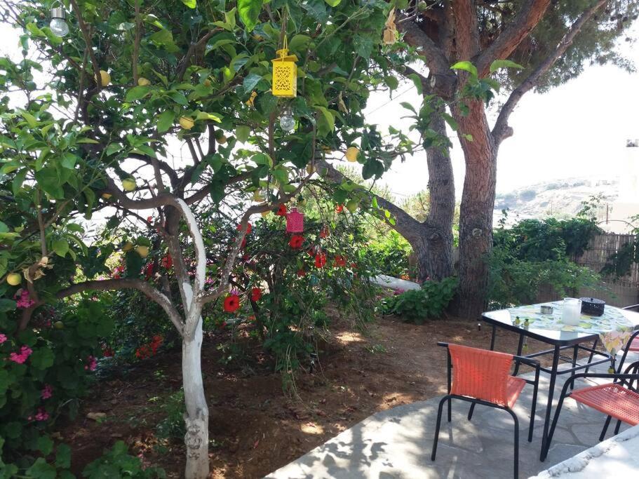 Grandpa Simos' Traditional Guest House Agios Romanos المظهر الخارجي الصورة