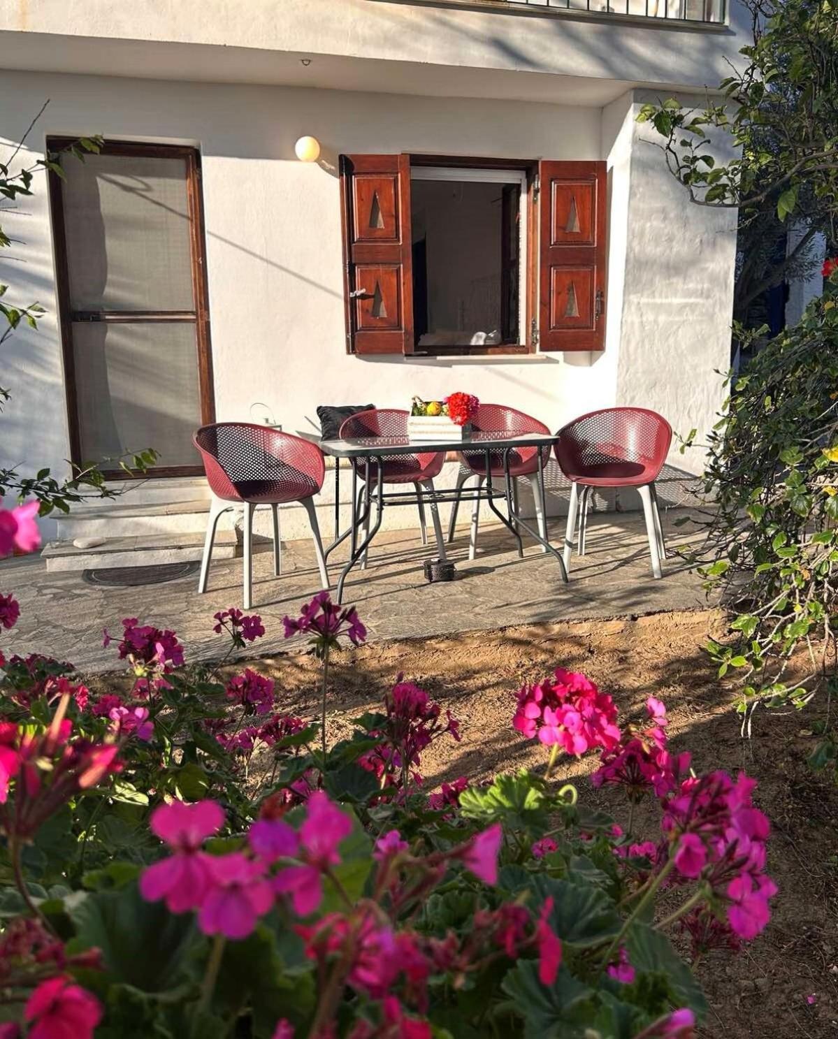 Grandpa Simos' Traditional Guest House Agios Romanos المظهر الخارجي الصورة