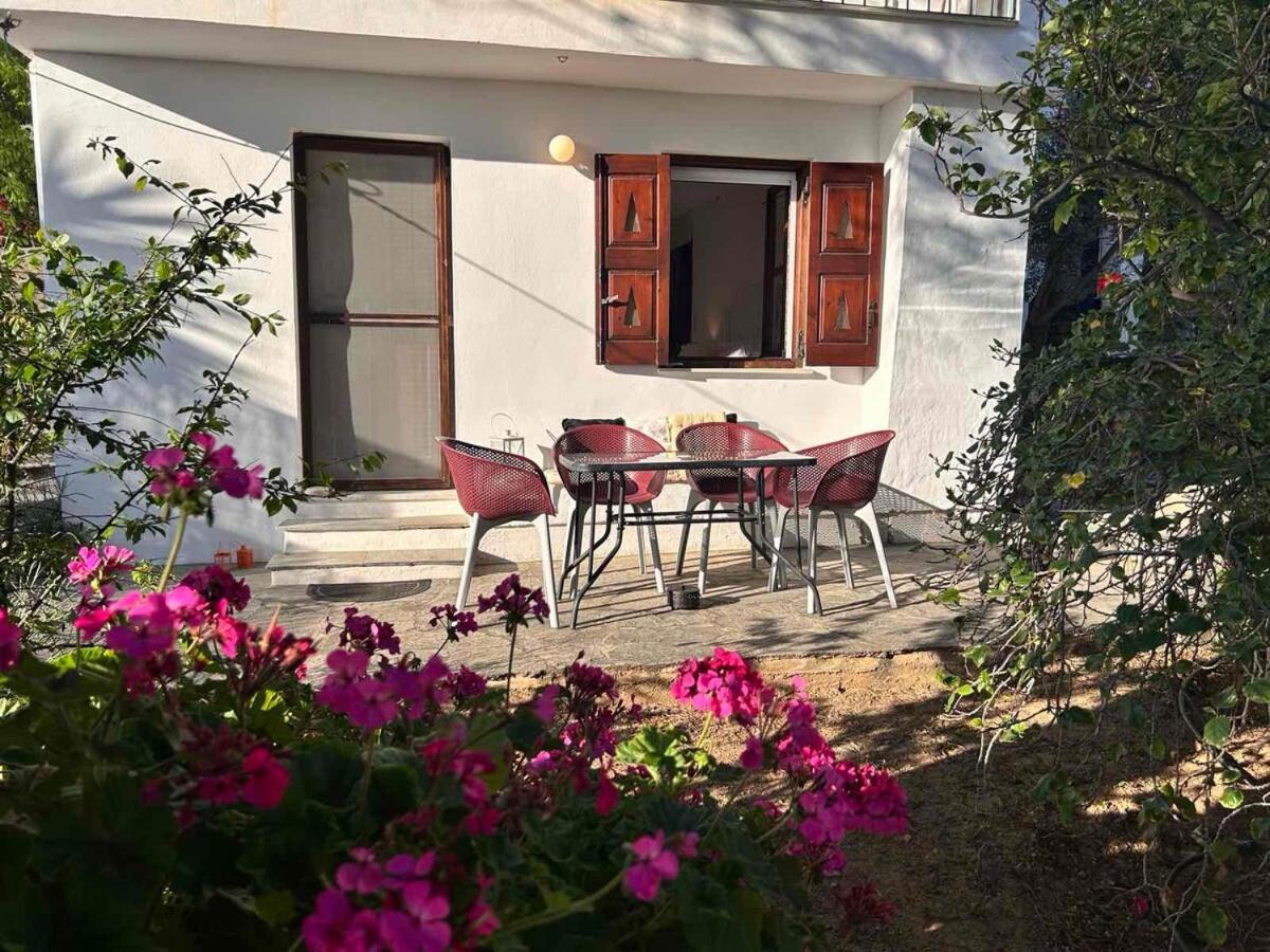 Grandpa Simos' Traditional Guest House Agios Romanos المظهر الخارجي الصورة