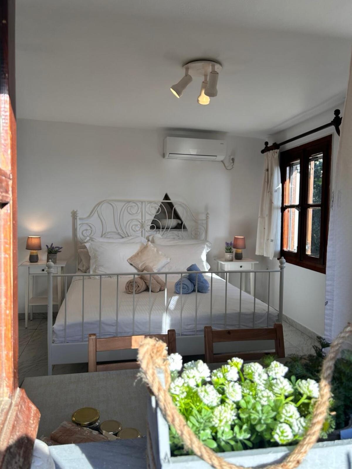 Grandpa Simos' Traditional Guest House Agios Romanos المظهر الخارجي الصورة