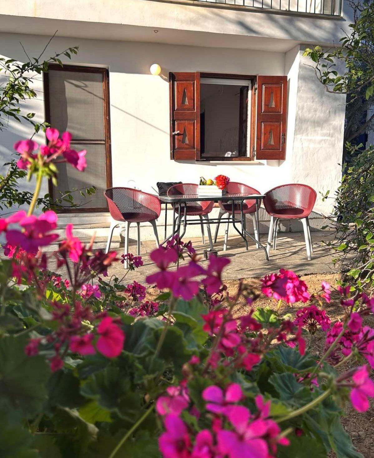 Grandpa Simos' Traditional Guest House Agios Romanos المظهر الخارجي الصورة