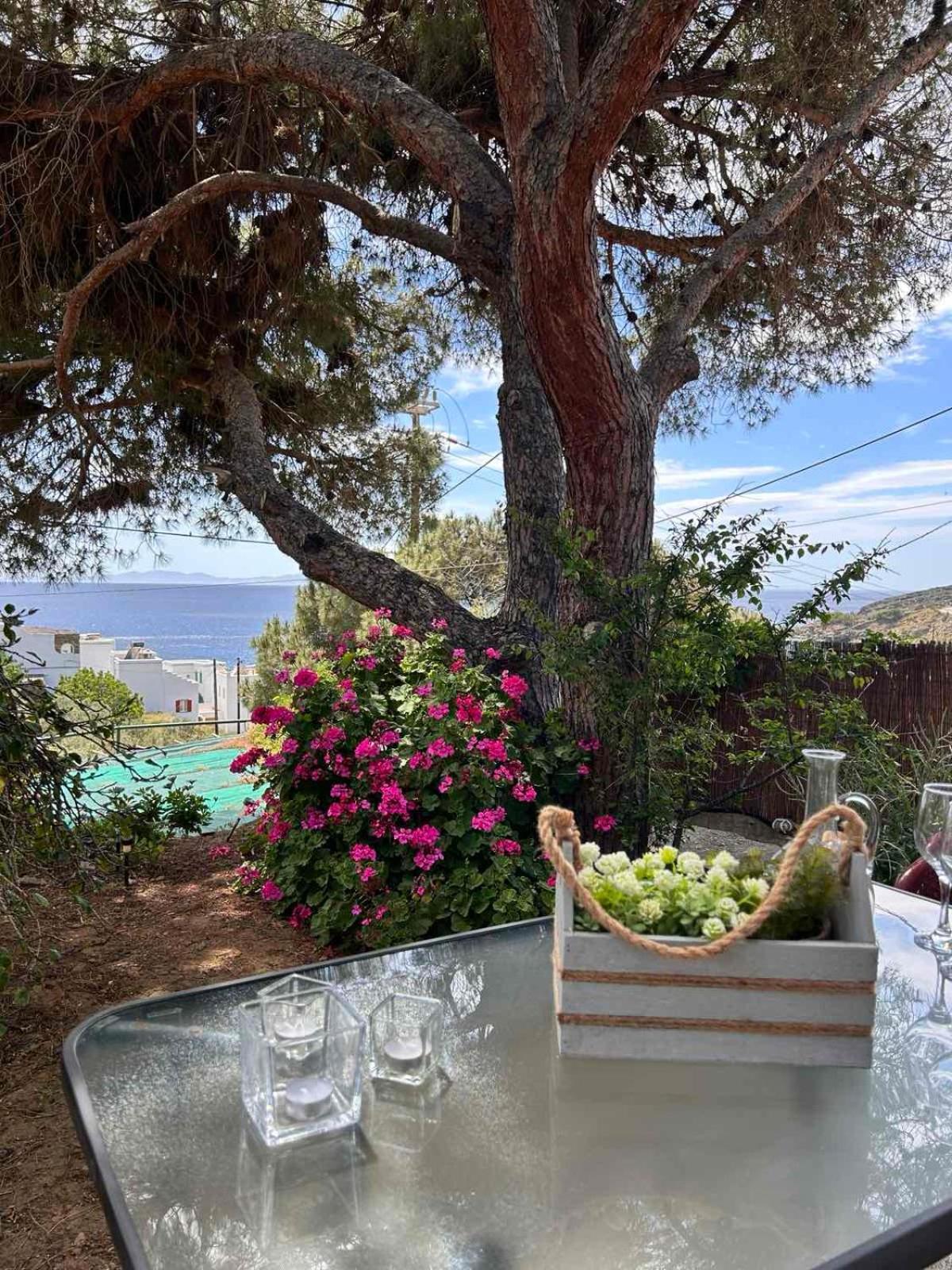 Grandpa Simos' Traditional Guest House Agios Romanos المظهر الخارجي الصورة