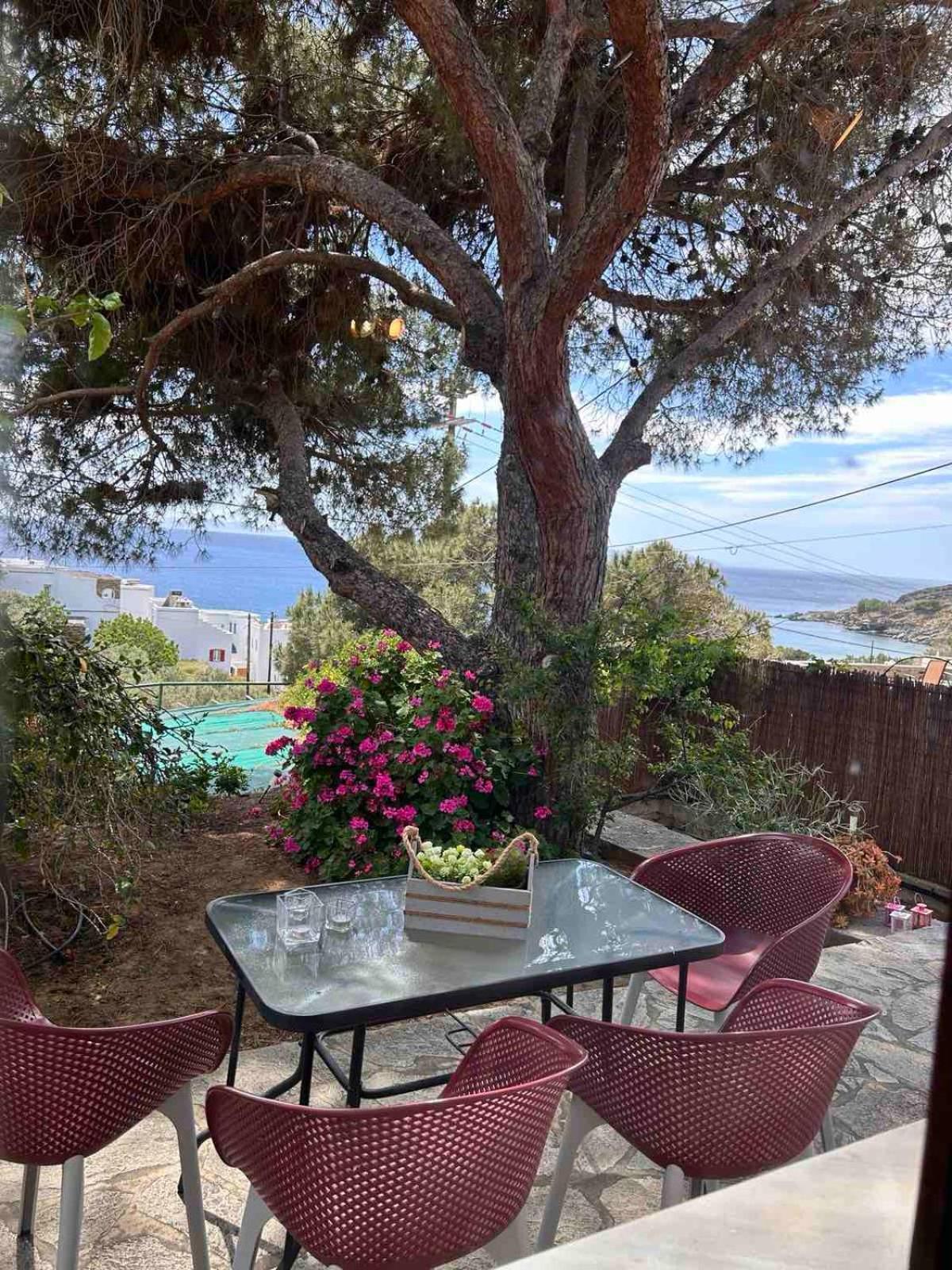 Grandpa Simos' Traditional Guest House Agios Romanos المظهر الخارجي الصورة